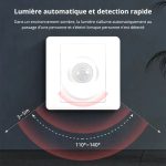 Capteur De Présence